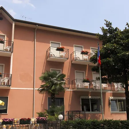 Alberello Riva del Garda